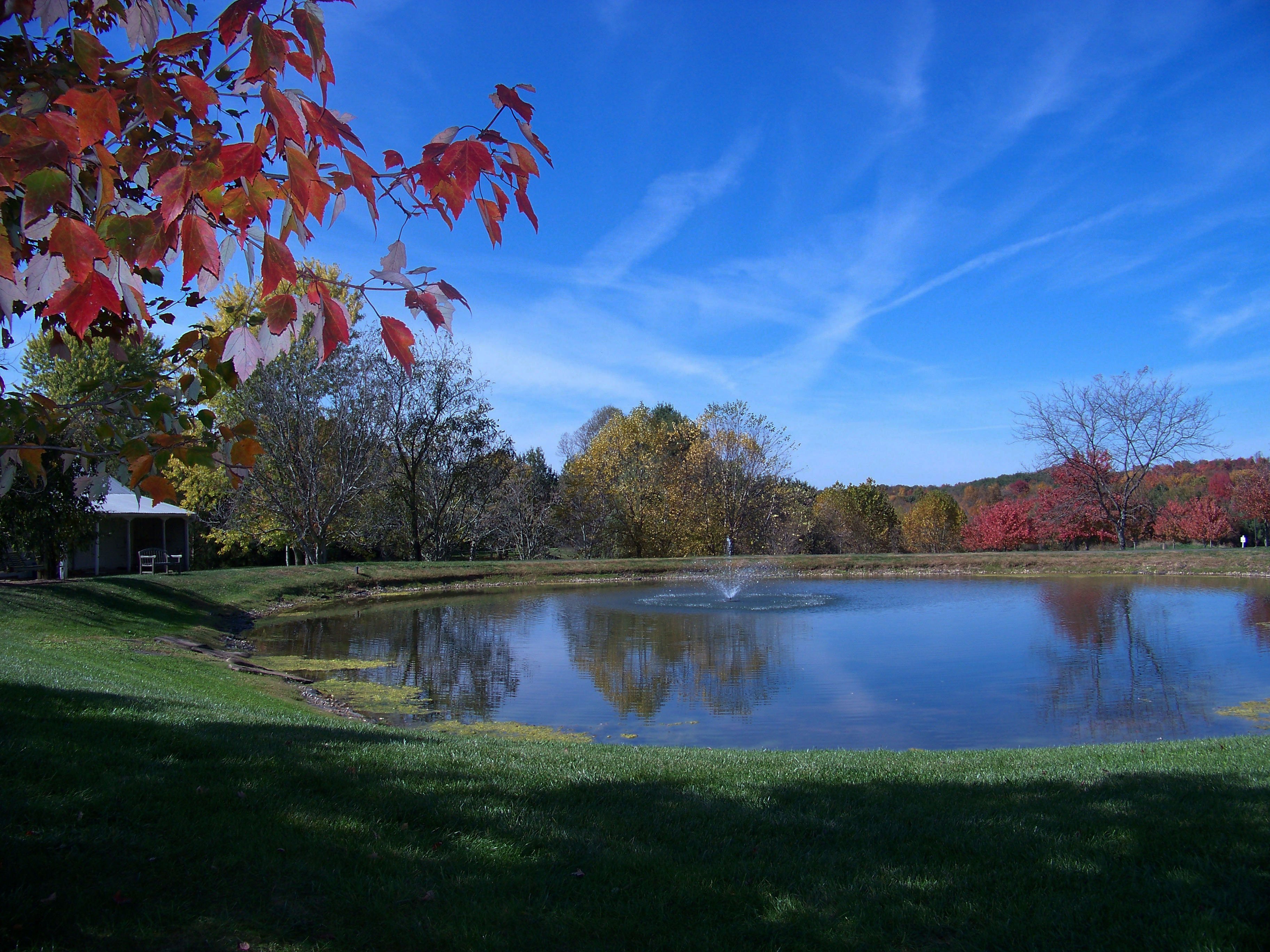 Fall_at_GW (1) (2)-1