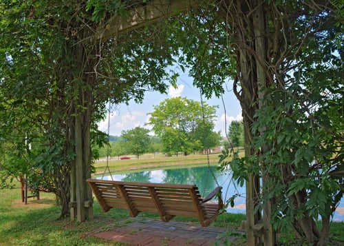 Pond 3